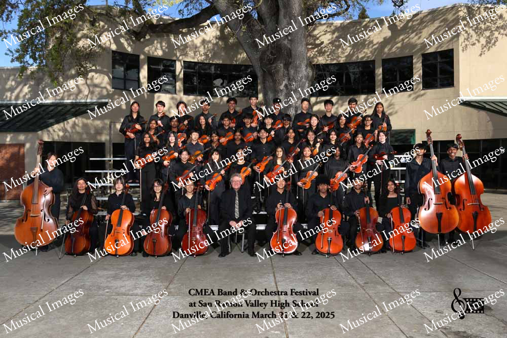 Musical Images